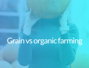 Grain vs organic farming