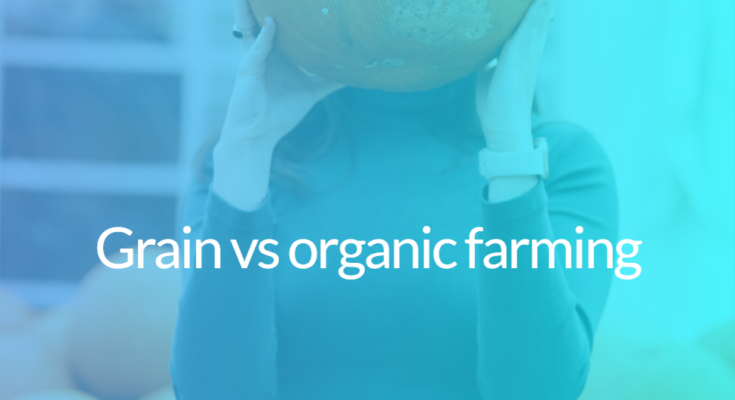 Grain vs organic farming