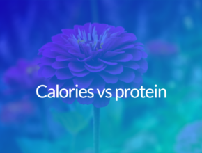 Calories vs protein