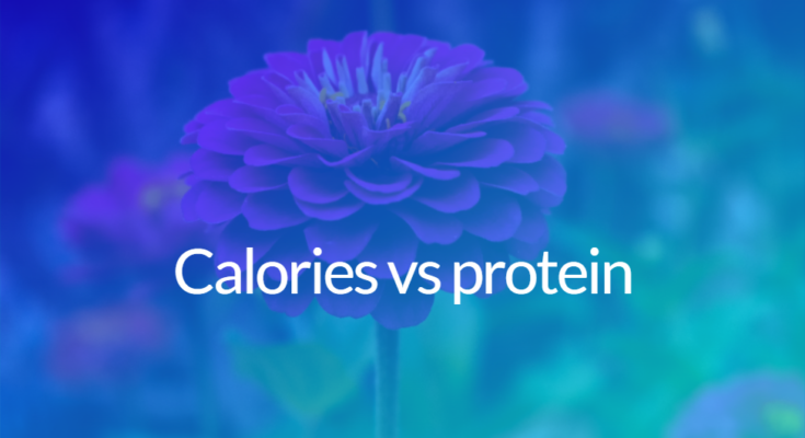 Calories vs protein