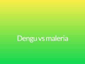 Dengu vs maleria