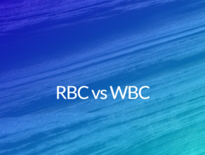 RBC vs wbc