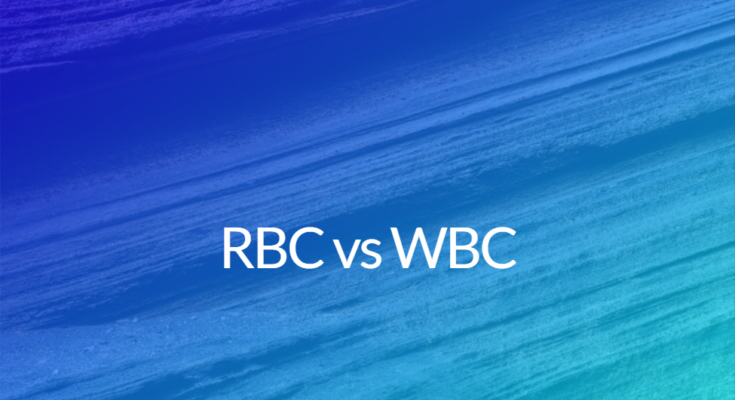 RBC vs wbc